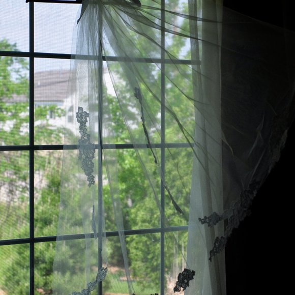 Paloma Blanca Wedding Veil /Champagne / Fingertip Length / Delicate Natural Lace main image 4